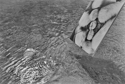 Obiekty dynamiczne - Świder