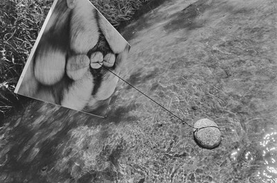 Obiekty dynamiczne - Świder