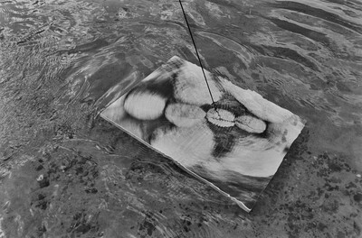 Obiekty dynamiczne - Świder