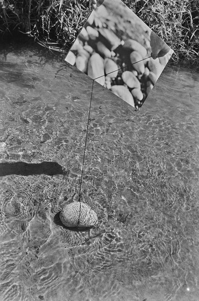 Obiekty dynamiczne - Świder