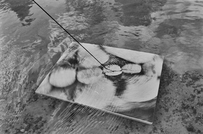 Obiekty dynamiczne - Świder