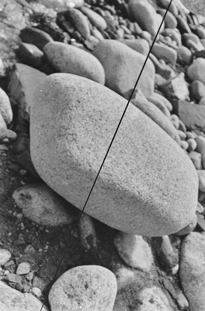 Obiekty dynamiczne - Białka