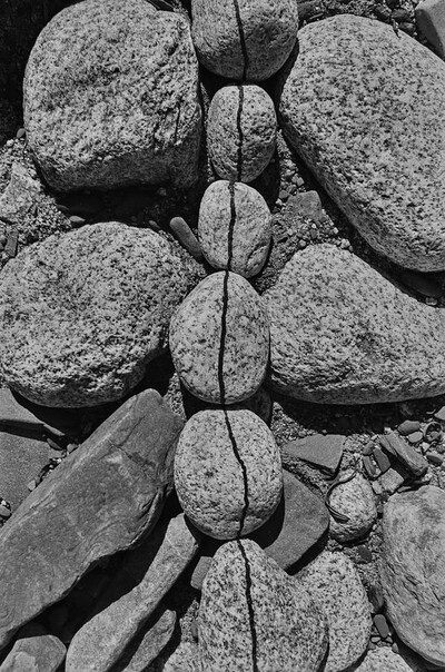 Obiekty dynamiczne - Białka