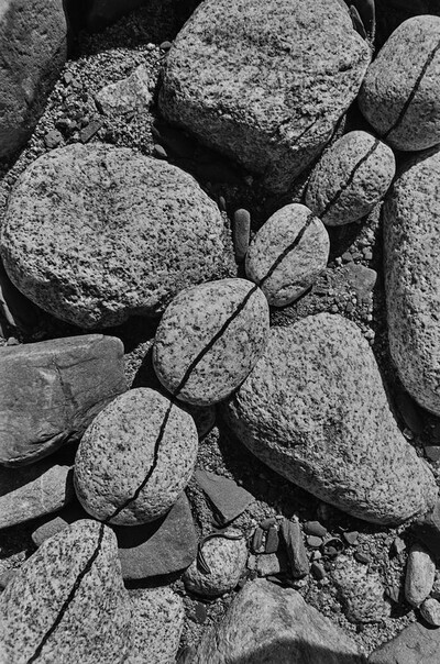 Obiekty dynamiczne - Białka