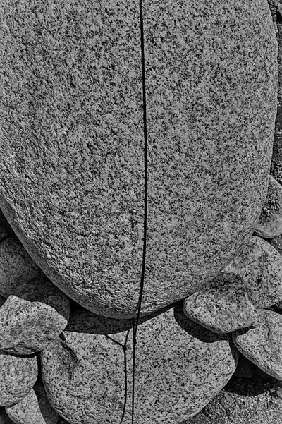 Obiekty dynamiczne - Białka