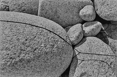 Obiekty dynamiczne - Białka