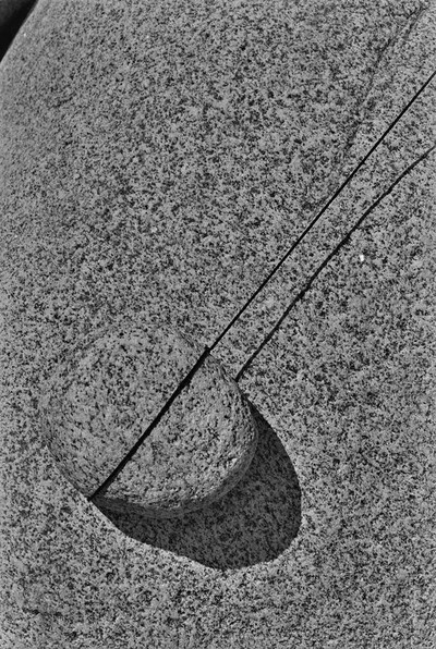 Obiekty dynamiczne - Białka