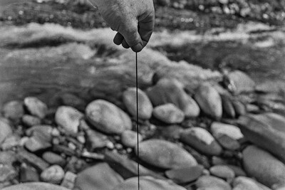 Obiekty dynamiczne - Białka