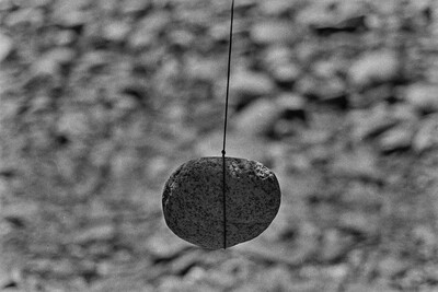 Obiekty dynamiczne - Białka