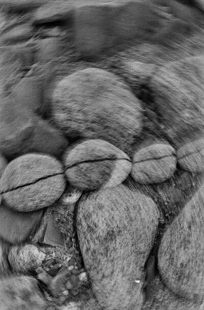 Obiekty dynamiczne - Białka