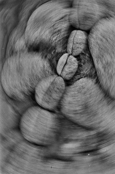 Obiekty dynamiczne - Białka