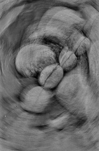 Obiekty dynamiczne - Białka