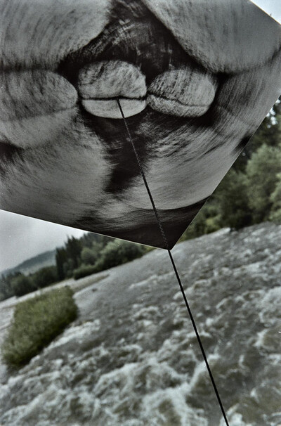 Obiekty dynamiczne - Białka