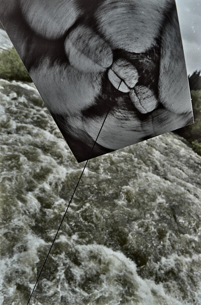 Obiekty dynamiczne - Białka