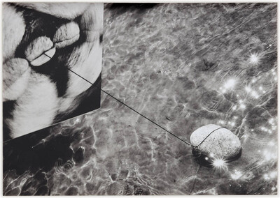 Obiekty dynamiczne w rzece Świder