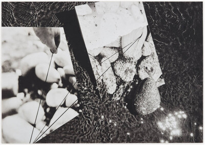 Obiekty dynamiczne w rzece Świder