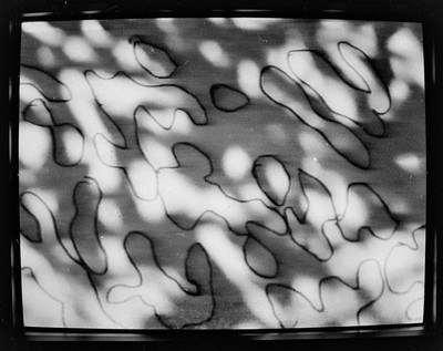 Momentary Object